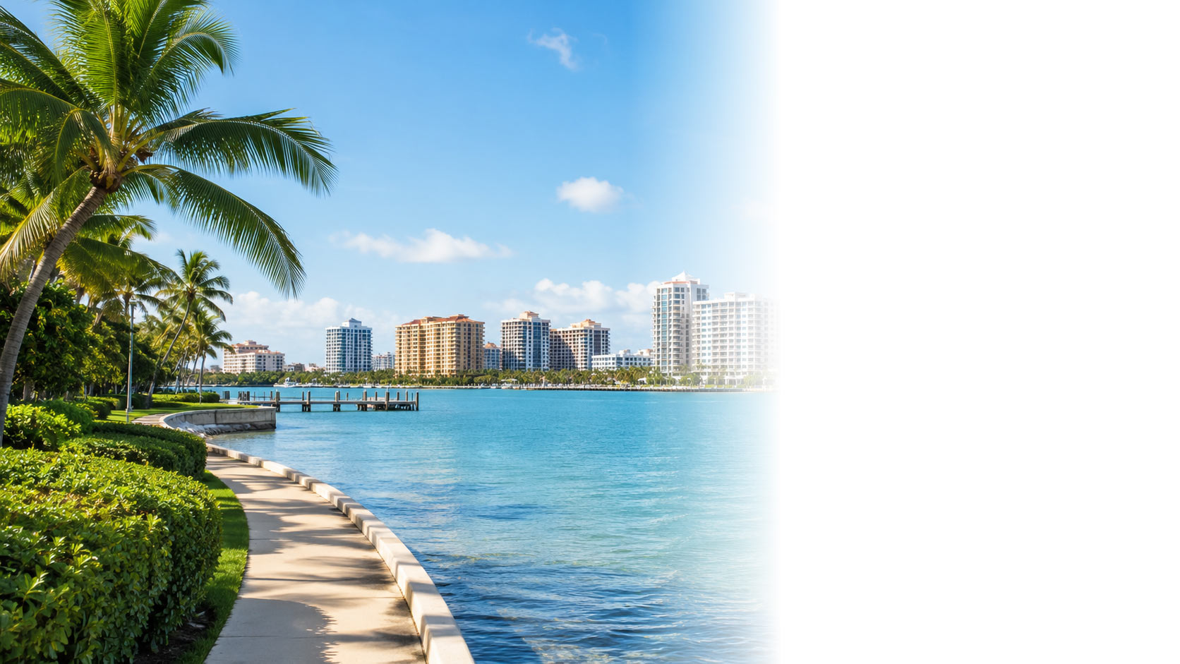 Palm trees along the Sarasota waterfront